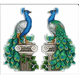 Königlicher Pfau SR-574