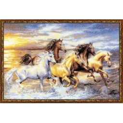 Dans le coucher de soleil 100/038