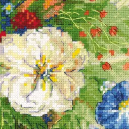 Flemish Summer 100/042