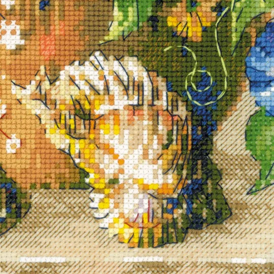 Flämischer Sommer SR100/042
