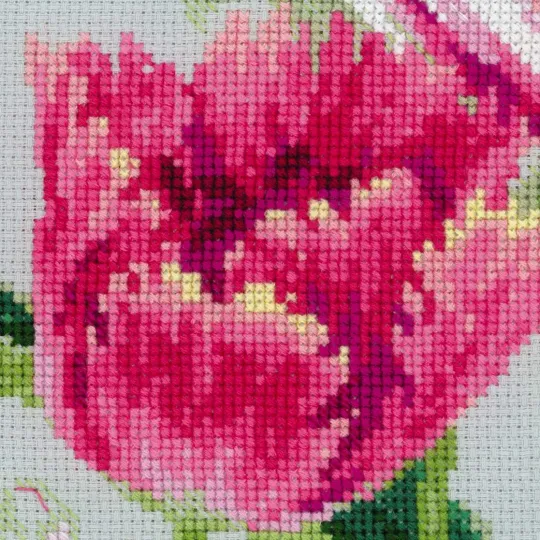 Frühlings-Tulpen 100/052