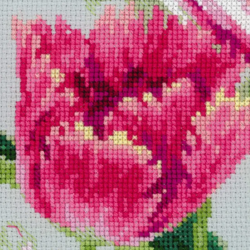 Frühlings Tulpen SR100/052