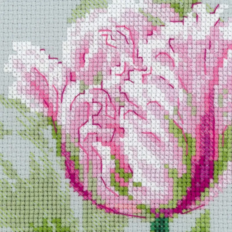 Pavasarinės tulpės 100/052