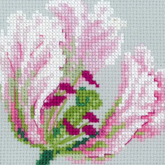 Frühlings-Tulpen 100/052