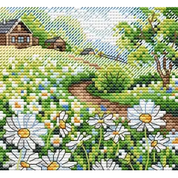 Summer Expanses SM-562