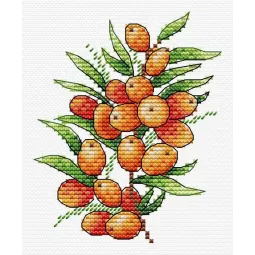 Humeur d'argousier SM-591