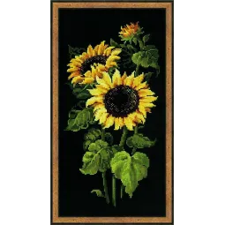 Подсолнухи 1056