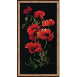 Poppies 1057