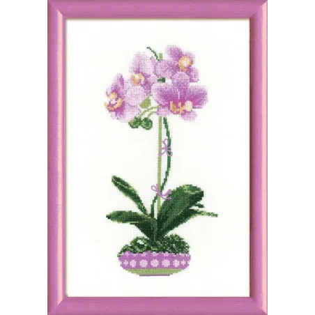Fliederorchidee SR1163