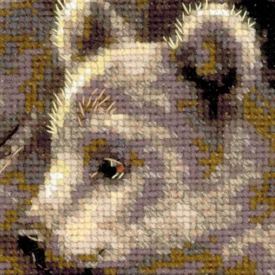 Bär mit Jungen 1438