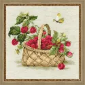 Panier avec framboises SR1448