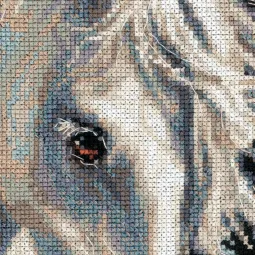 Andalusischer Charakter 1451