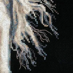 Andalūzijos charakteris 1451