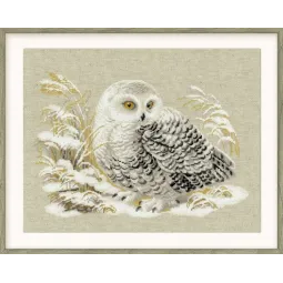 Hibou blanc 1241