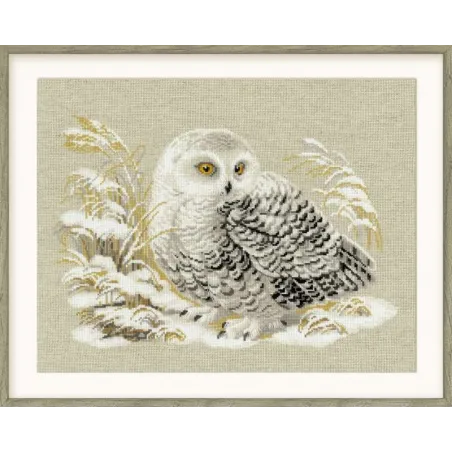Hibou blanc 1241