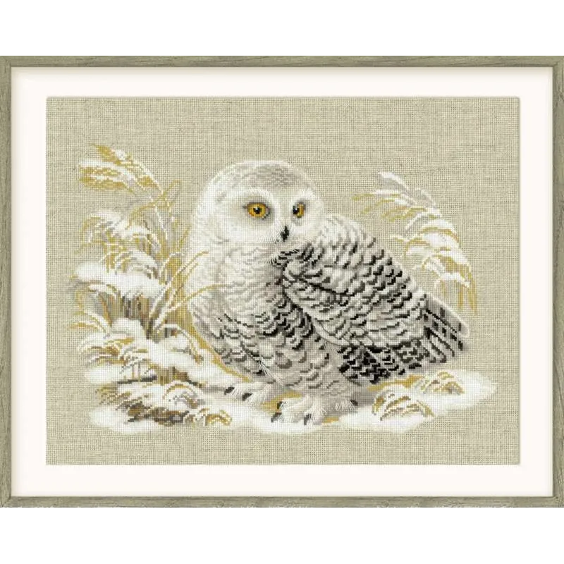 Hibou blanc 1241
