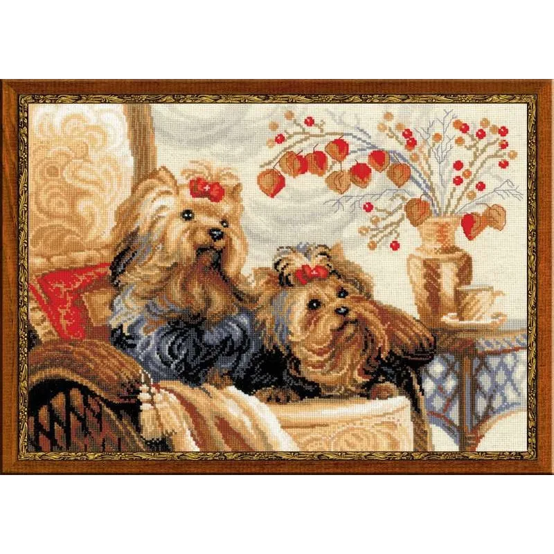 Animaux 1248