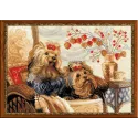 Animaux 1248