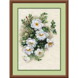 Balta erškėtrožė 21x30 cm SR1351