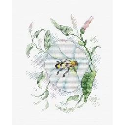 Nectar Freshness SM-386 (D)