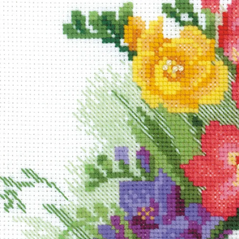 Freesia 1561