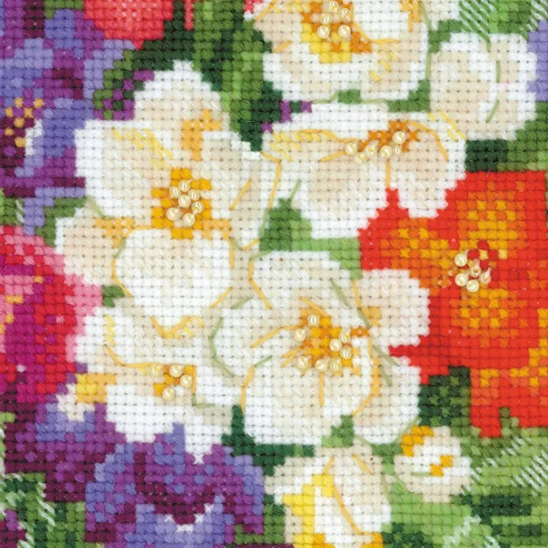 Freesia 1561