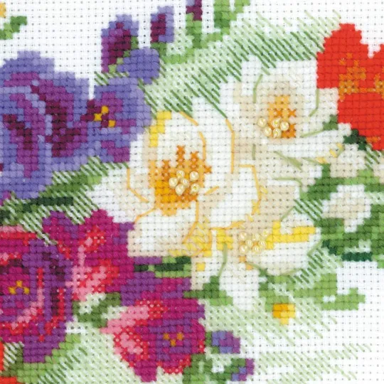 Freesia SR1561
