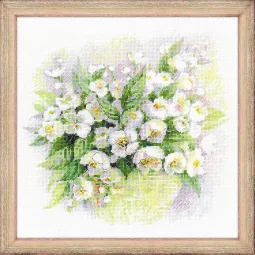 Aquarelle Jasmin 1467