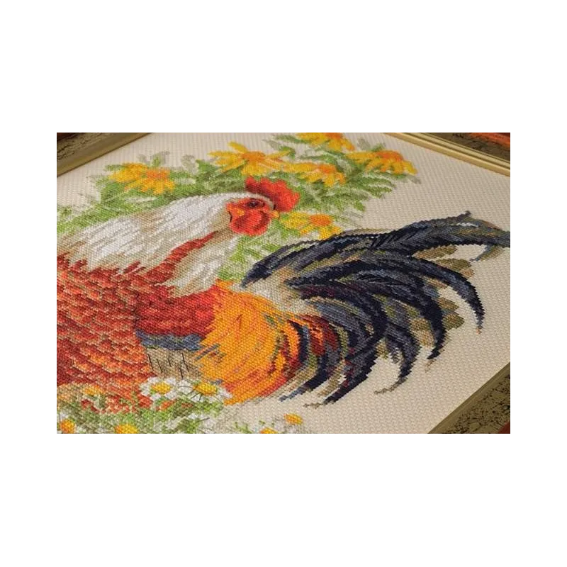 Coq 1479