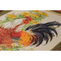 Coq 1479