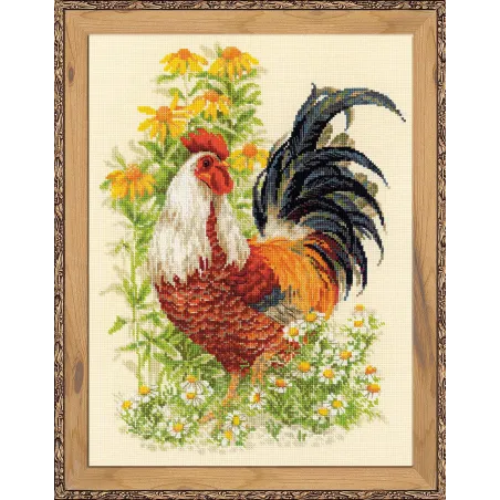 Coq 1479