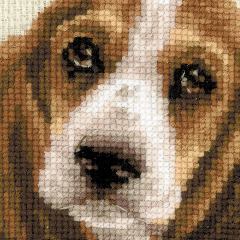 Basset Hound Welpe 1578
