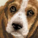 Basset Hound Welpe 1578