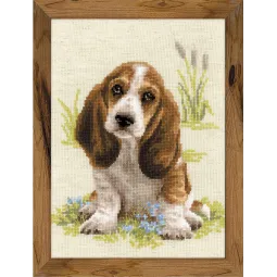 Basset Hound Puppy 1578