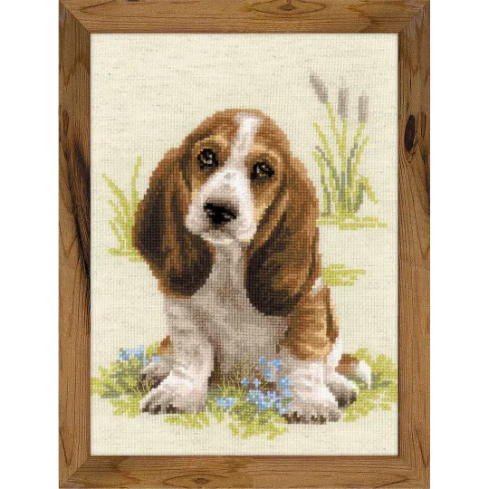 Basset Hound Welpe 1578