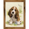 Basset Hound Puppy 1578