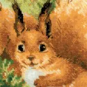 Eichhörnchen 1491