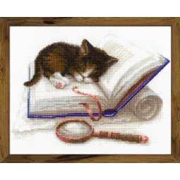 Kitten on the Book SR1725