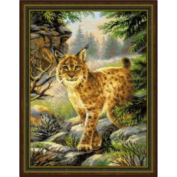 Лесная Хозяйка SR1673