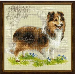 Sheltie SR1710