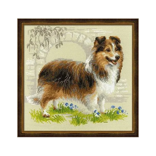 Sheltie SR1710