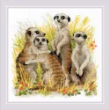 Suricates SR1761