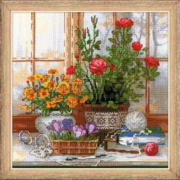 Crocus Sur Le Rebord De La Fenêtre SR1763