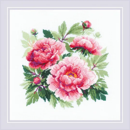 Pivoine arbustive SR1854