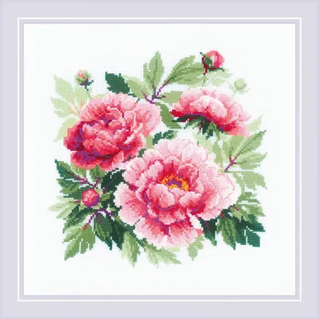 Pivoine arbustive SR1854