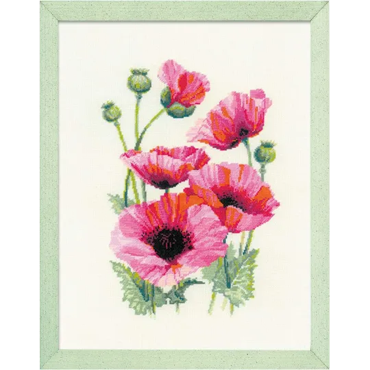 Coquelicots roses SR1775