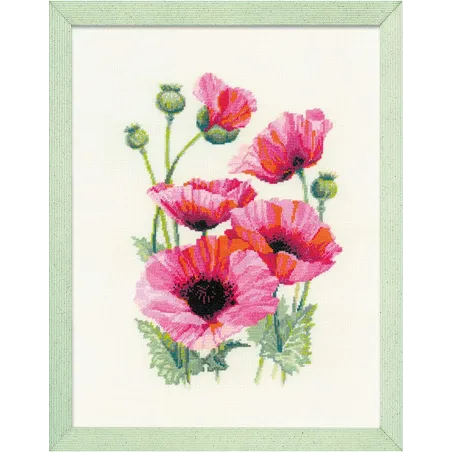 Coquelicots roses SR1775