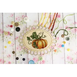 Тыква. Органайзер SO-047