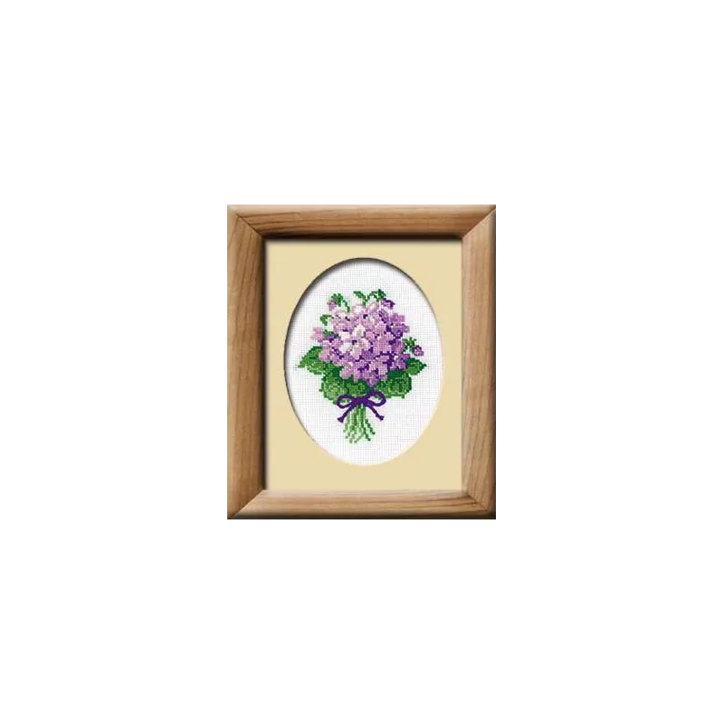 Violettes 240