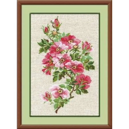 Mai Wild Rose 809